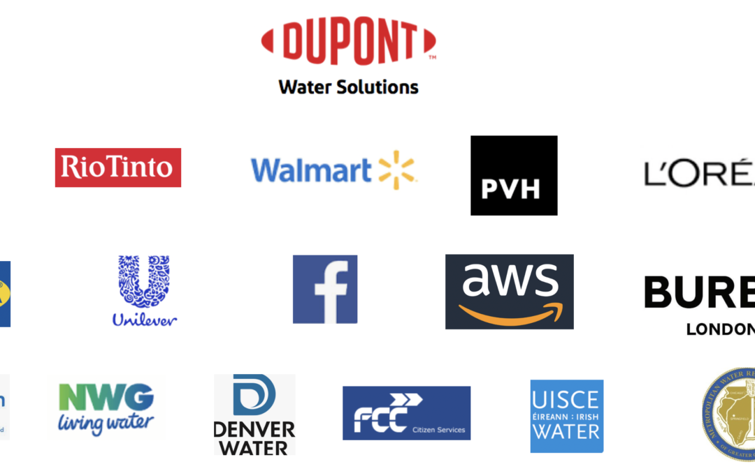 BlueTech Research Roundtable 6: SDG6 – Clean Water & Sanitation – how innovation can lift us out of water poverty