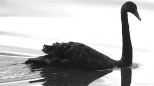 Seeking Anti-fragility in a Black Swan event – strategies for the water sector